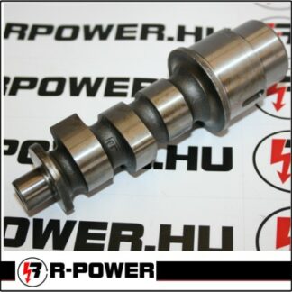 420 Diesel engine camshaft