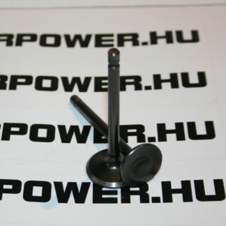 300 diesel engine valve set