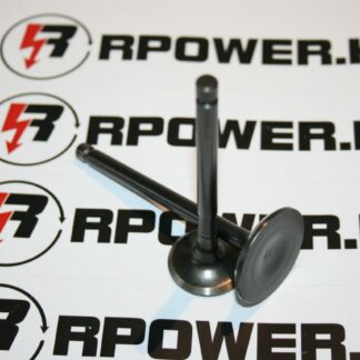 420 diesel engine valve